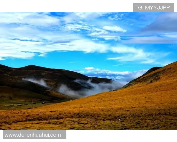 萨林杰的文学魅力与人生哲学探讨：从孤独到自我救赎的心灵旅程