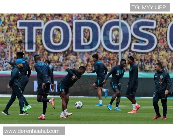 2019年阿根廷与厄瓜多尔激战回顾：精彩瞬间与赛后分析