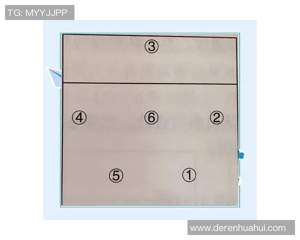 广州排球队反击战术解析与深度剖析排球竞技的魅力与挑战 广州排球队反击战术解析与深度剖析排球竞技的魅力与挑战